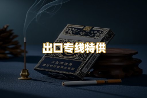 出口专线特供
